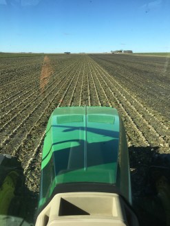 photo oct 20, 11 24 09 am